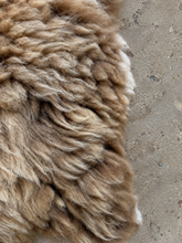 Load image into Gallery viewer, Churro Sheep Hide 32