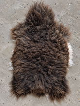 Load image into Gallery viewer, Churro Sheep Hide 33
