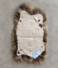 Load image into Gallery viewer, Churro Sheep Hide 34
