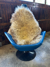 Load image into Gallery viewer, Churro Sheep Hide 24