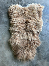 Load image into Gallery viewer, Churro Sheep Hide 14