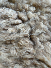 Load image into Gallery viewer, Churro Sheep Hide 15