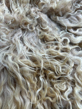 Load image into Gallery viewer, Churro Sheep Hide 11