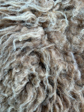 Load image into Gallery viewer, Churro Sheep Hide 17