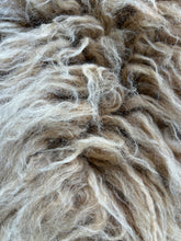Load image into Gallery viewer, Churro Sheep Hide 23