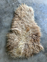 Load image into Gallery viewer, Churro Sheep Hide 10