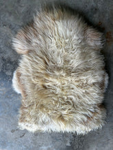Load image into Gallery viewer, Churro Sheep Hide 24