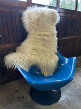 Load image into Gallery viewer, Churro Sheep Hide 16