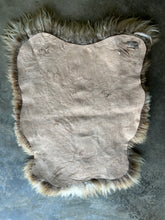 Load image into Gallery viewer, Churro Sheep Hide 21