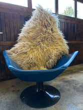 Load image into Gallery viewer, Churro Sheep Hide 21
