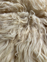 Load image into Gallery viewer, Churro Sheep Hide 18