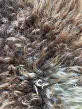 Load image into Gallery viewer, Churro Sheep Hide 19