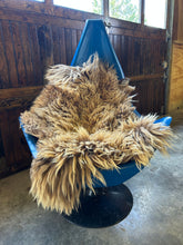 Load image into Gallery viewer, Churro Sheep Hide 25