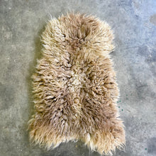 Load image into Gallery viewer, Churro Sheep Hide 2