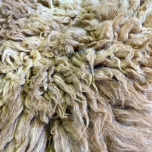 Load image into Gallery viewer, Churro Sheep Hide 2