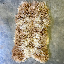 Load image into Gallery viewer, Churro Sheep Hide 1