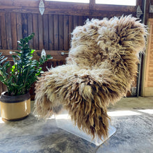 Load image into Gallery viewer, Churro Sheep Hide 1