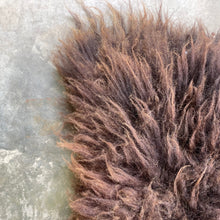 Load image into Gallery viewer, Churro Sheep Hide 3