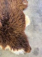Load image into Gallery viewer, Churro Sheep Hide 30