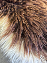 Load image into Gallery viewer, Churro Sheep Hide 30