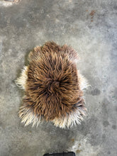 Load image into Gallery viewer, Churro Sheep Hide 29