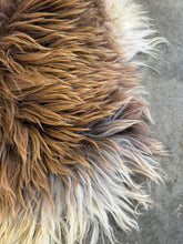 Load image into Gallery viewer, Churro Sheep Hide 29