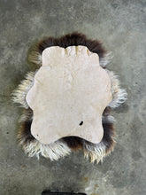 Load image into Gallery viewer, Churro Sheep Hide 29
