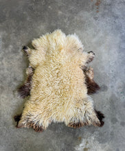 Load image into Gallery viewer, Churro Sheep Hide 28