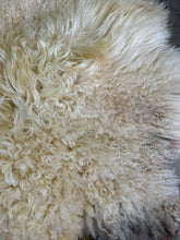 Load image into Gallery viewer, Churro Sheep Hide 28
