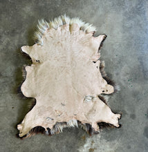 Load image into Gallery viewer, Churro Sheep Hide 28