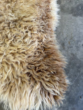 Load image into Gallery viewer, Churro Sheep Hide 27