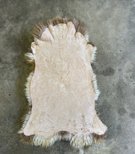 Load image into Gallery viewer, Churro Sheep Hide 27
