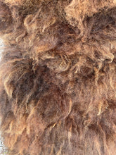 Load image into Gallery viewer, Churro Sheep Hide 6