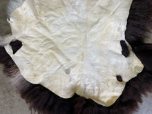Load image into Gallery viewer, Churro Sheep Hide 6