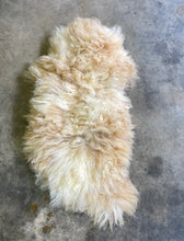 Load image into Gallery viewer, Churro Sheep Hide 5