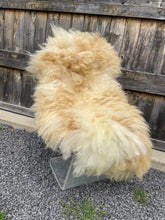 Load image into Gallery viewer, Churro Sheep Hide 5