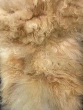Load image into Gallery viewer, Churro Sheep Hide 5