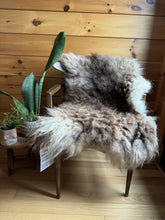 Load image into Gallery viewer, Churro Sheep Hide 35