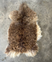 Load image into Gallery viewer, Churro Sheep Hide 35