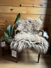 Load image into Gallery viewer, Churro Sheep Hide 39