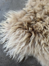 Load image into Gallery viewer, Churro Sheep Hide 45