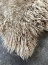 Load image into Gallery viewer, Churro Sheep Hide 39