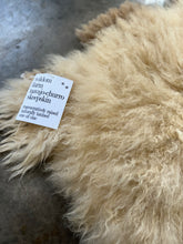 Load image into Gallery viewer, Churro Sheep Hide 37