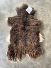Load image into Gallery viewer, Churro Sheep Hide 44