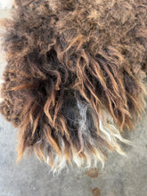 Load image into Gallery viewer, Churro Sheep Hide 44