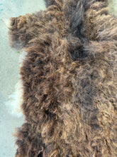 Load image into Gallery viewer, Churro Sheep Hide 44