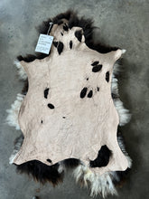 Load image into Gallery viewer, Churro Sheep Hide 44