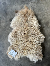 Load image into Gallery viewer, Churro Sheep Hide 42