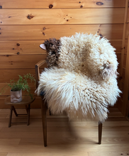 Load image into Gallery viewer, Churro Sheep Hide 28