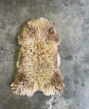 Load image into Gallery viewer, Churro Sheep Hide 27